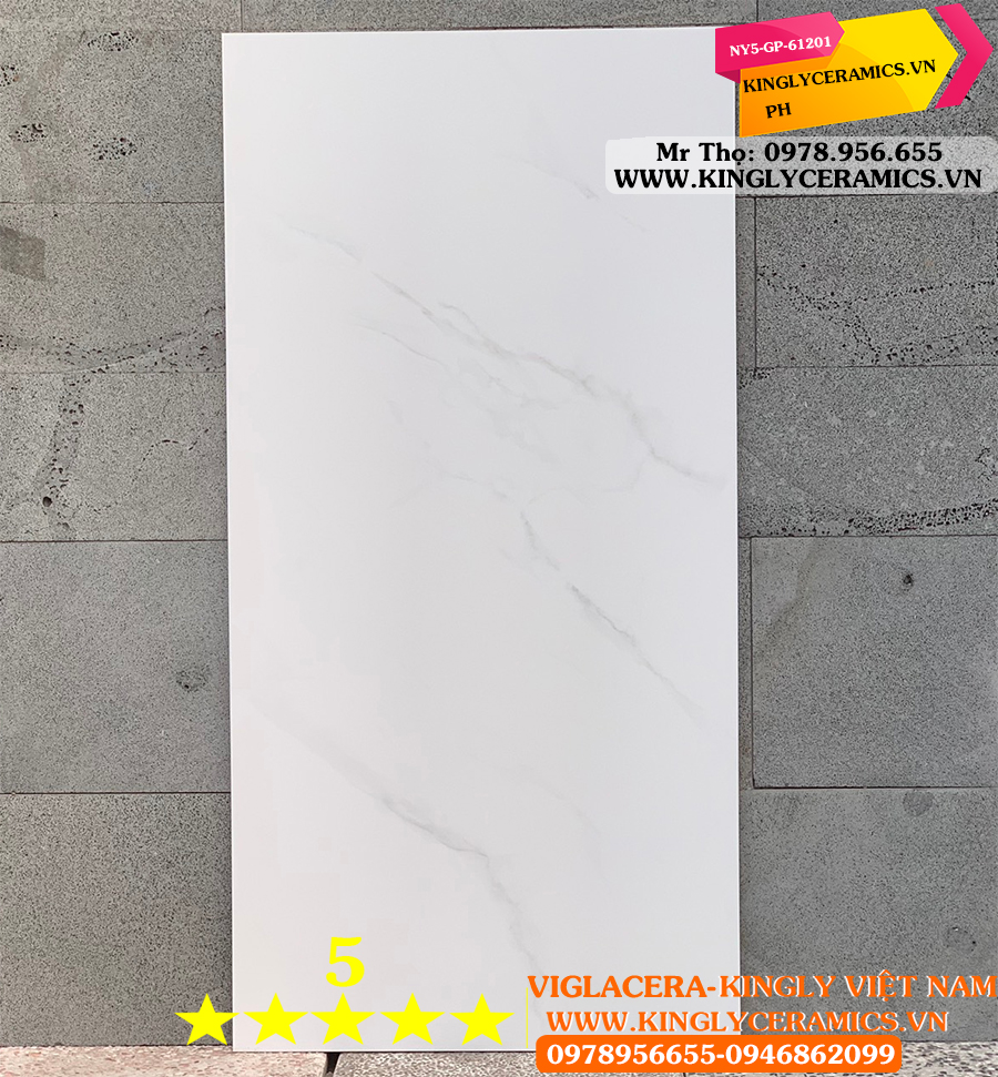 Gạch Viglacera 60x120 NY5GP 61201